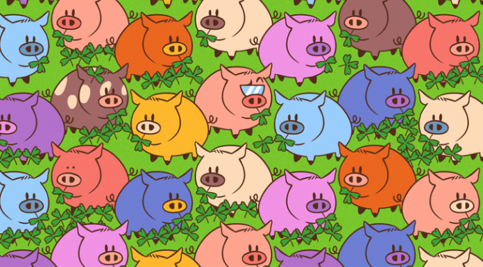 Apenas 5% das pessoas podem ver o trevo de quatro folhas escondido nesta imagem?