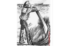 Onde está a mulher do marinheiro? Encontre a senhora escondida nesta foto!