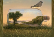 Você sucumbe facilmente às provocações dos outros? a primeira coisa que você notou na foto pode te dizer