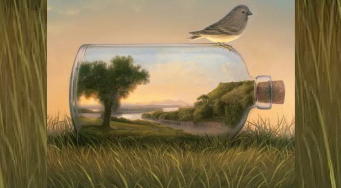 Você sucumbe facilmente às provocações dos outros? a primeira coisa que você notou na foto pode te dizer