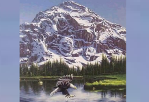 Quantos animais há neste desenho? Ninguém dá a resposta certa, e você?