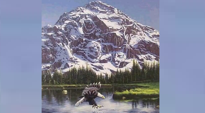 Quantos animais há neste desenho? Ninguém dá a resposta certa, e você?