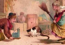 Você vê um rato? Porque a vovó e o gato não conseguem encontrá-lo. Onde ele está?