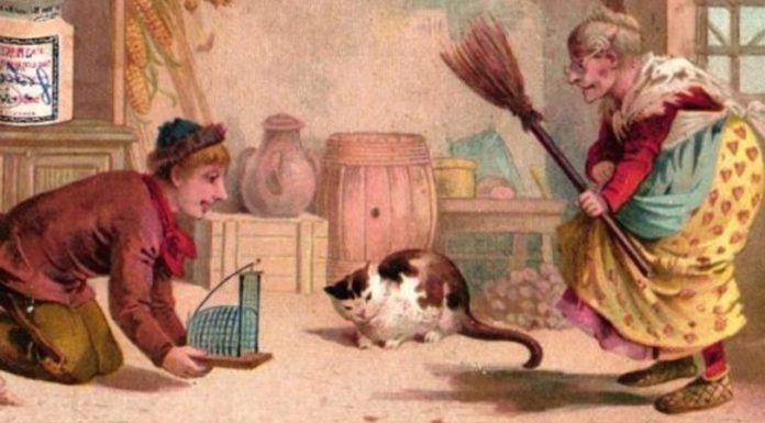 Você vê um rato? Porque a vovó e o gato não conseguem encontrá-lo. Onde ele está?