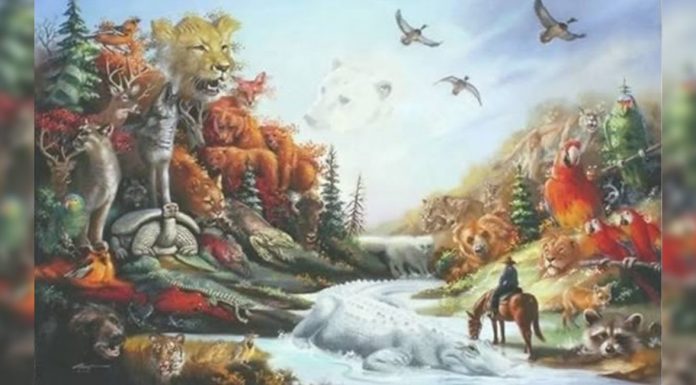 Quantos animais você é capaz de encontrar nesta imagem?