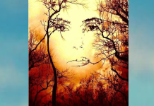 Conte-nos o que viu primeiro e descubra novos traços sobre sua personalidade graças a este incrível teste visual.