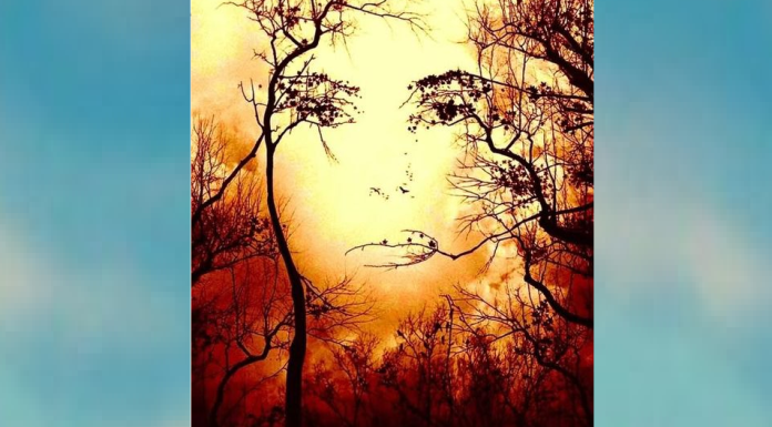 Conte-nos o que viu primeiro e descubra novos traços sobre sua personalidade graças a este incrível teste visual.