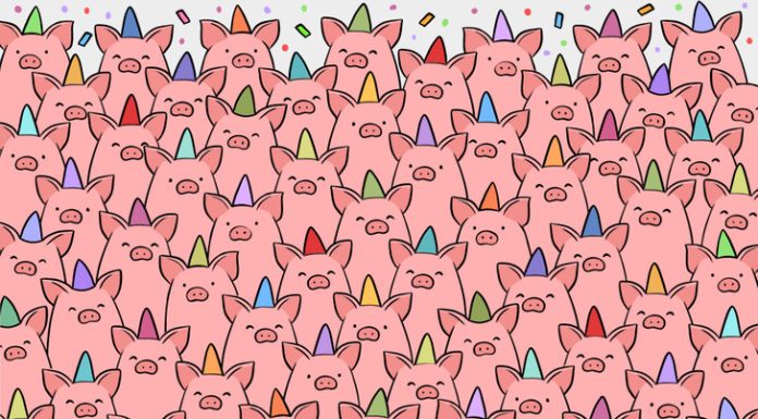 Enigma visual: você tem 20 segundos para encontrar os porcos que não tem chapéu na imagem