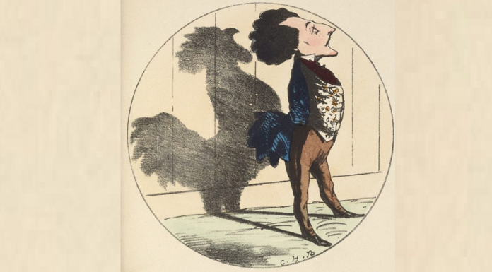 Homem ou galo?Olhe com atenção a imagem e descubra um pouco mais sobre você!