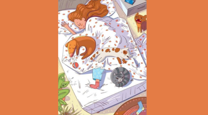 Teste: nesta imagem há 9 animais, se você perceber todos você é um gênio