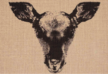 Foca ou Cervo? Qual animal você viu primeiro? A ilusão de ótica que apenas 5% resolveram