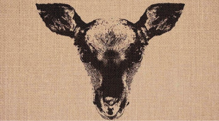 Foca ou Cervo? Qual animal você viu primeiro? A ilusão de ótica que apenas 5% resolveram