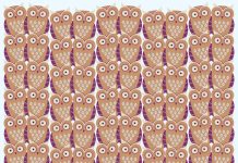 E qual das corujinhas é diferente das demais? Os bons encontram em menos de 20s e você?