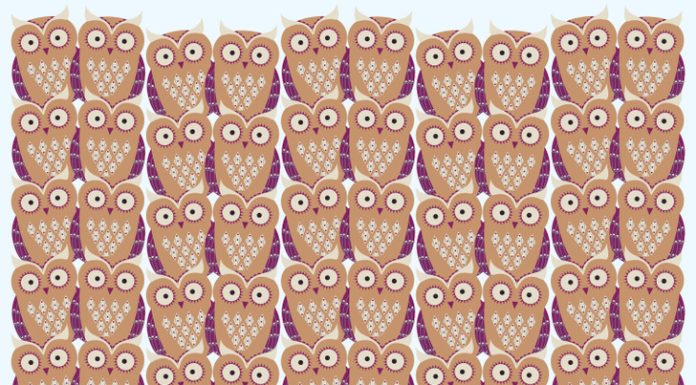 E qual das corujinhas é diferente das demais? Os bons encontram em menos de 20s e você?