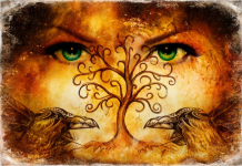 A primeira coisa que você vê descreve seu personagem