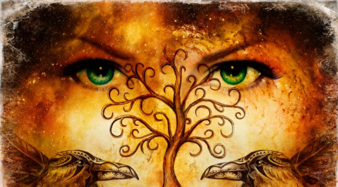 A primeira coisa que você vê descreve seu personagem