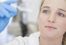 ESTUDO: Veneno de abelha mata as células de câncer de mama mais agressivas em 60 segundos