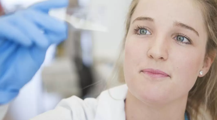 ESTUDO: Veneno de abelha mata as células de câncer de mama mais agressivas em 60 segundos