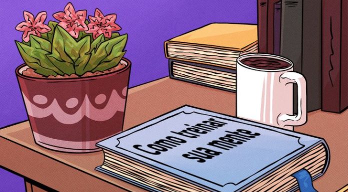 O que há de errado com a imagem? Localize o erro o mais rápido possível