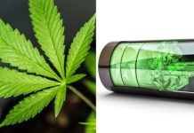 As baterias de cânhamo duram 8 vezes mais que o lítio, superando o grafeno por 1000 do custo