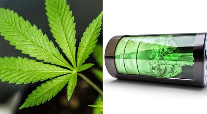 As baterias de cânhamo duram 8 vezes mais que o lítio, superando o grafeno por 1000 do custo