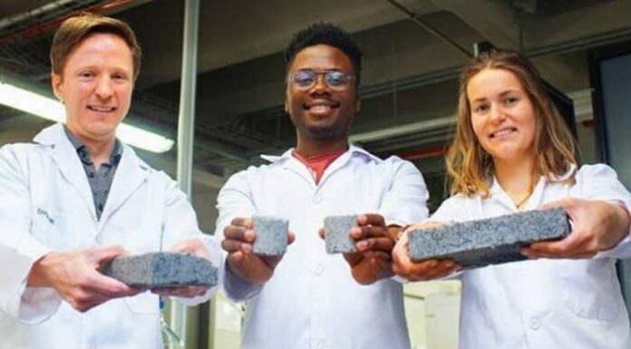 Cientistas da África do Sul criam tijolo ecológico feito com urina
