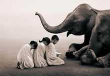 3 dicas simples para cultivar a humildade e se tornar uma pessoa melhor