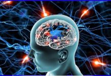 A doença de Alzheimer pode mostrar os primeiros sinais até 20 a 25 anos antes do início da perda de memória