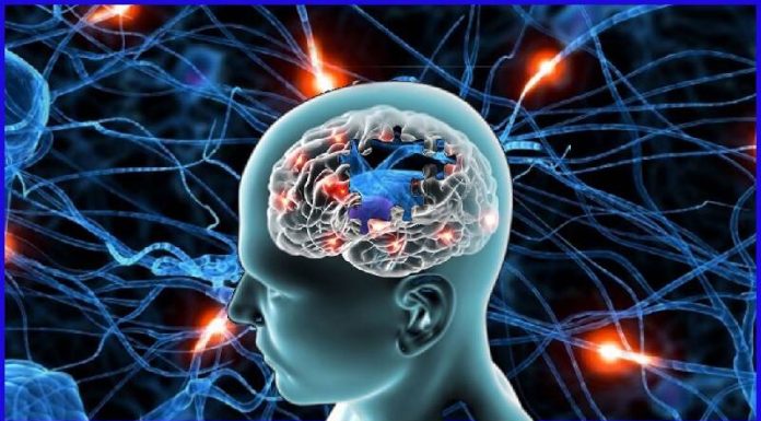 A doença de Alzheimer pode mostrar os primeiros sinais até 20 a 25 anos antes do início da perda de memória