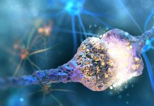 Grande descoberta: Identificados neurônios que restauram o movimento em pessoas com paralisia