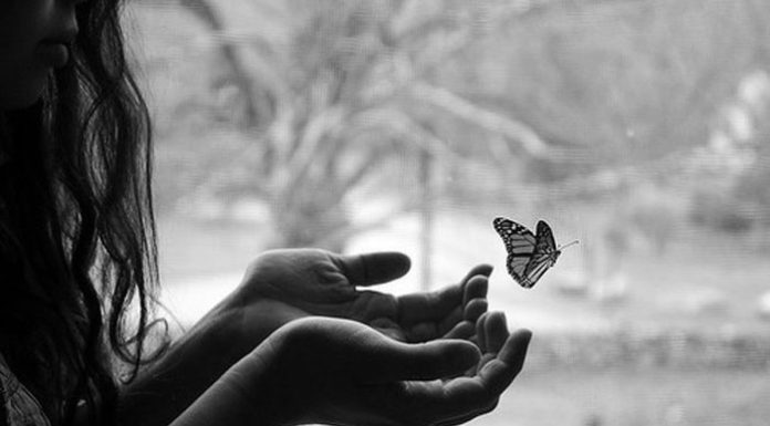 As maiores lições da vida vieram da perda…