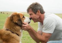 Como os cães se comportam quando detectam câncer em humanos