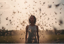 Cientistas descobrem quais são os odores corporais preferidos dos mosquitos