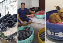 Jovem paraibano faz sucesso transformando pneus velhos em caminhas para animais