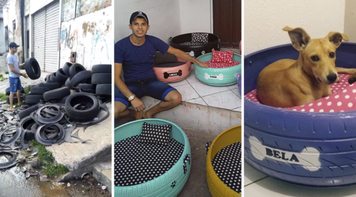 Jovem paraibano faz sucesso transformando pneus velhos em caminhas para animais