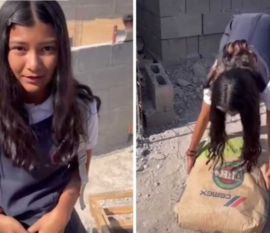 Menina queria largar escola e virar tiktoker, seu pai a levou para o trabalho: “A vida real é difícil”